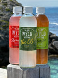 6-Pack 350ml